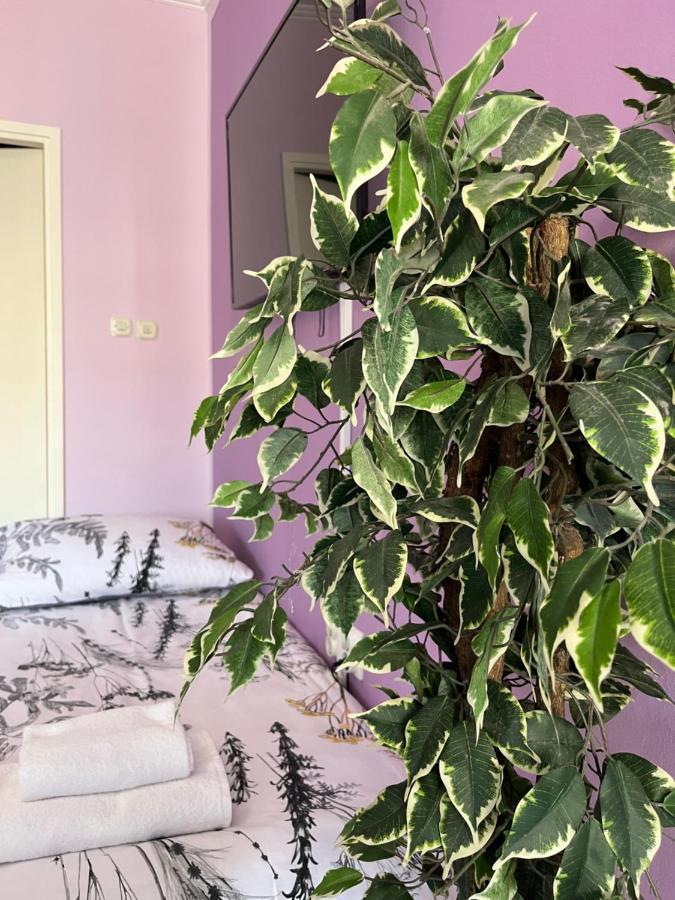 Apartman Lora Apartment ริเยกา ภายนอก รูปภาพ
